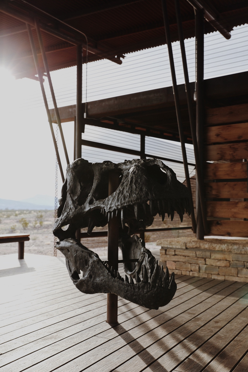 Illustration for article titled The Big Bend Overland Trip (long read/photo dump)
